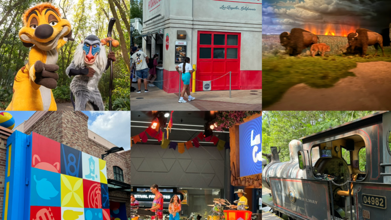 Big Parks Update & Insights at Epcot, Studios and Animal Kingdom